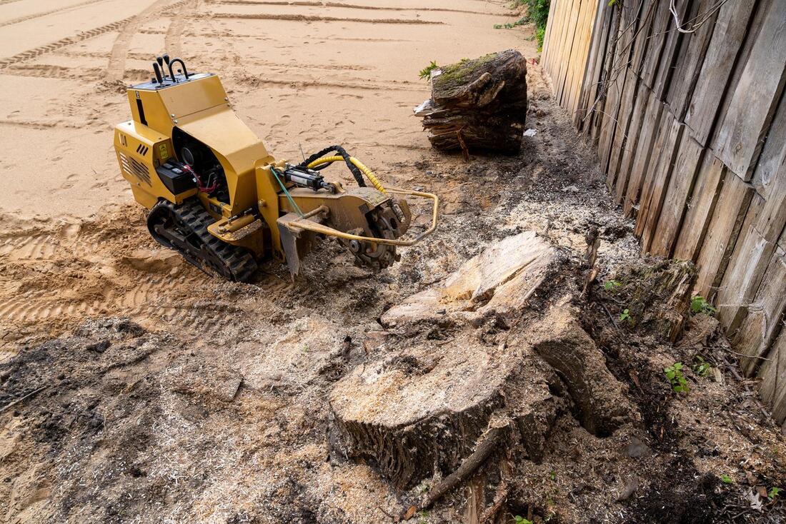 An image of Stump Grinding/Removal in Huntington Park CA